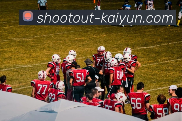 开云官网平台生态图